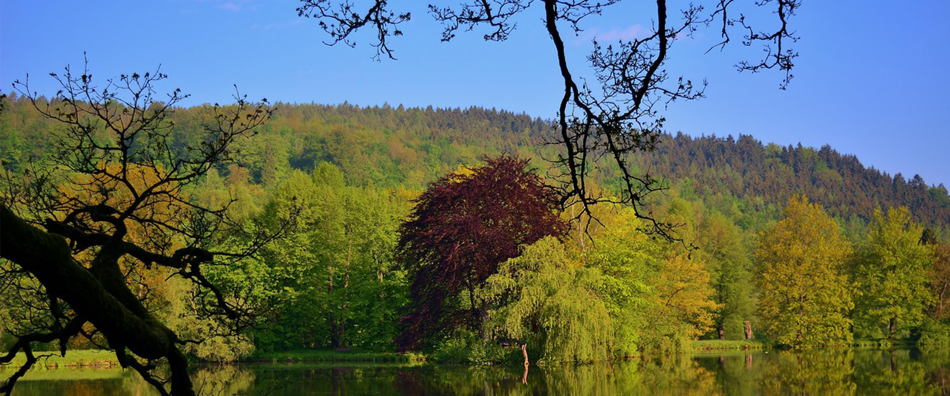 尽享钓趣,自在随心